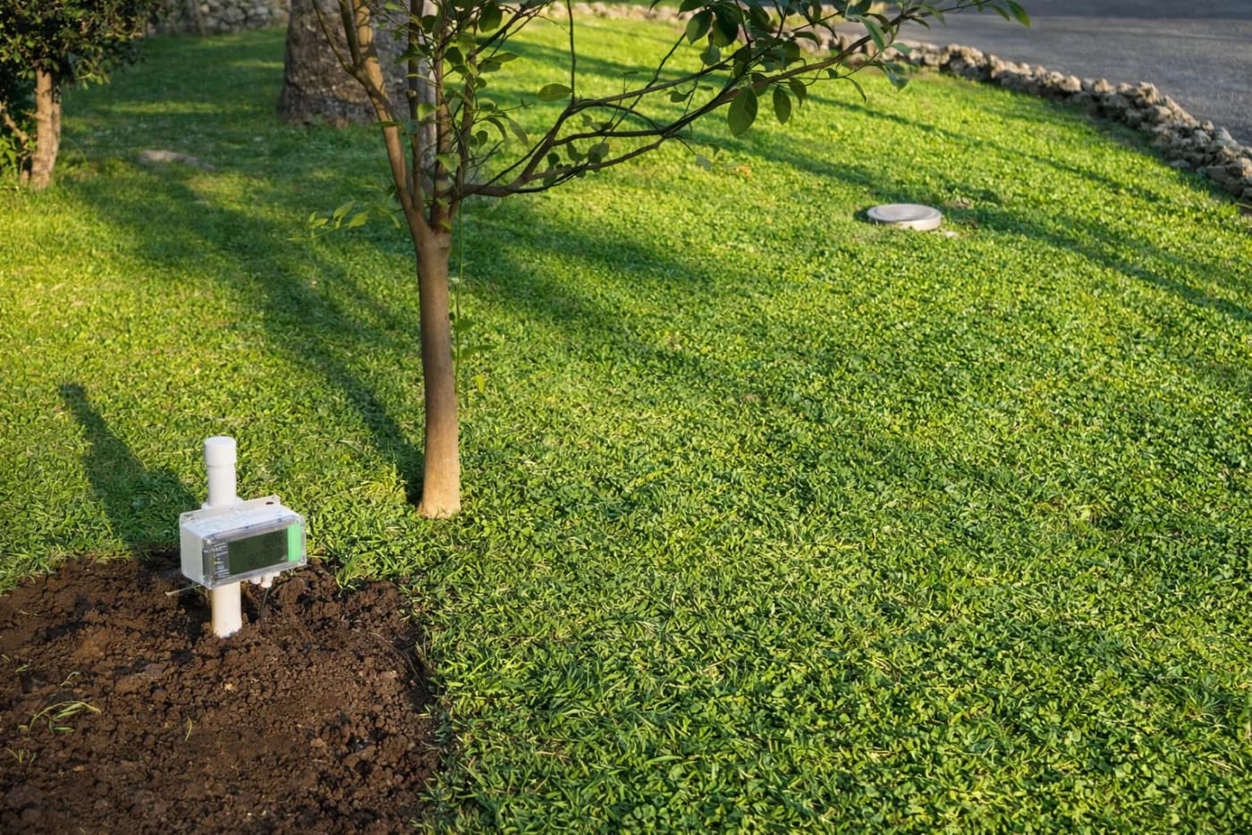 SoilSense product view 2